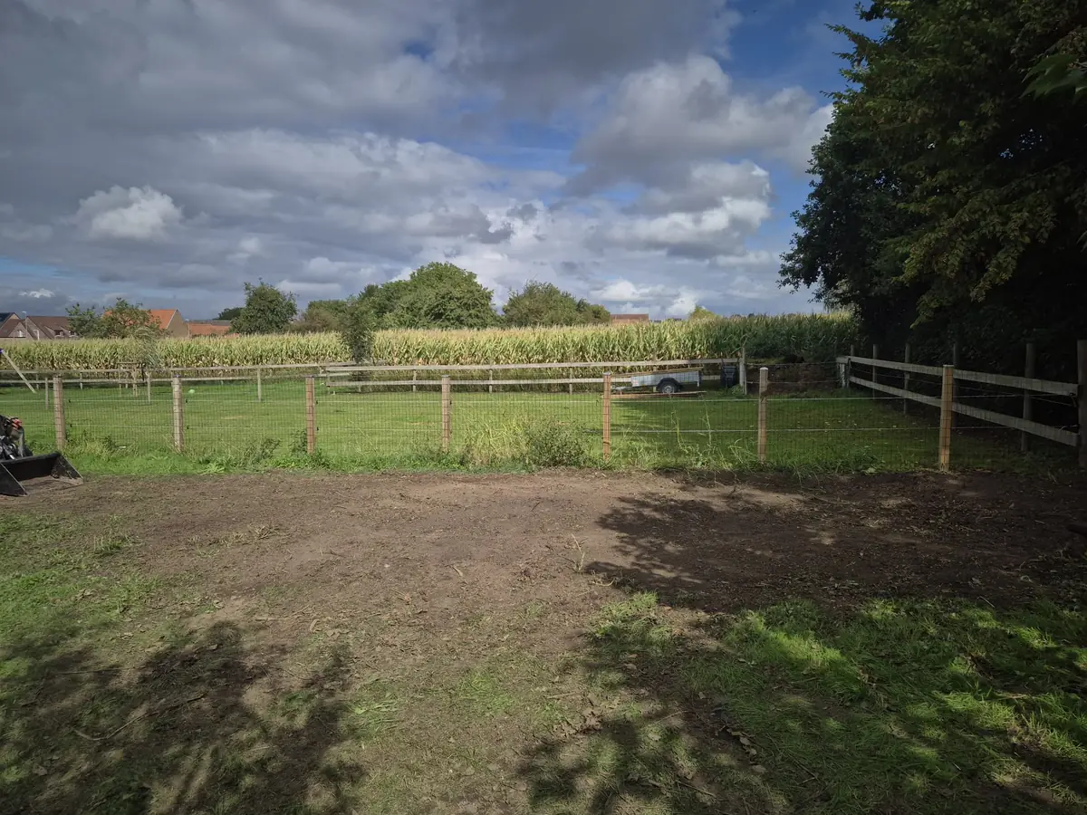 Opgeruimde tuin in Limburg na een opruiming door JG Services