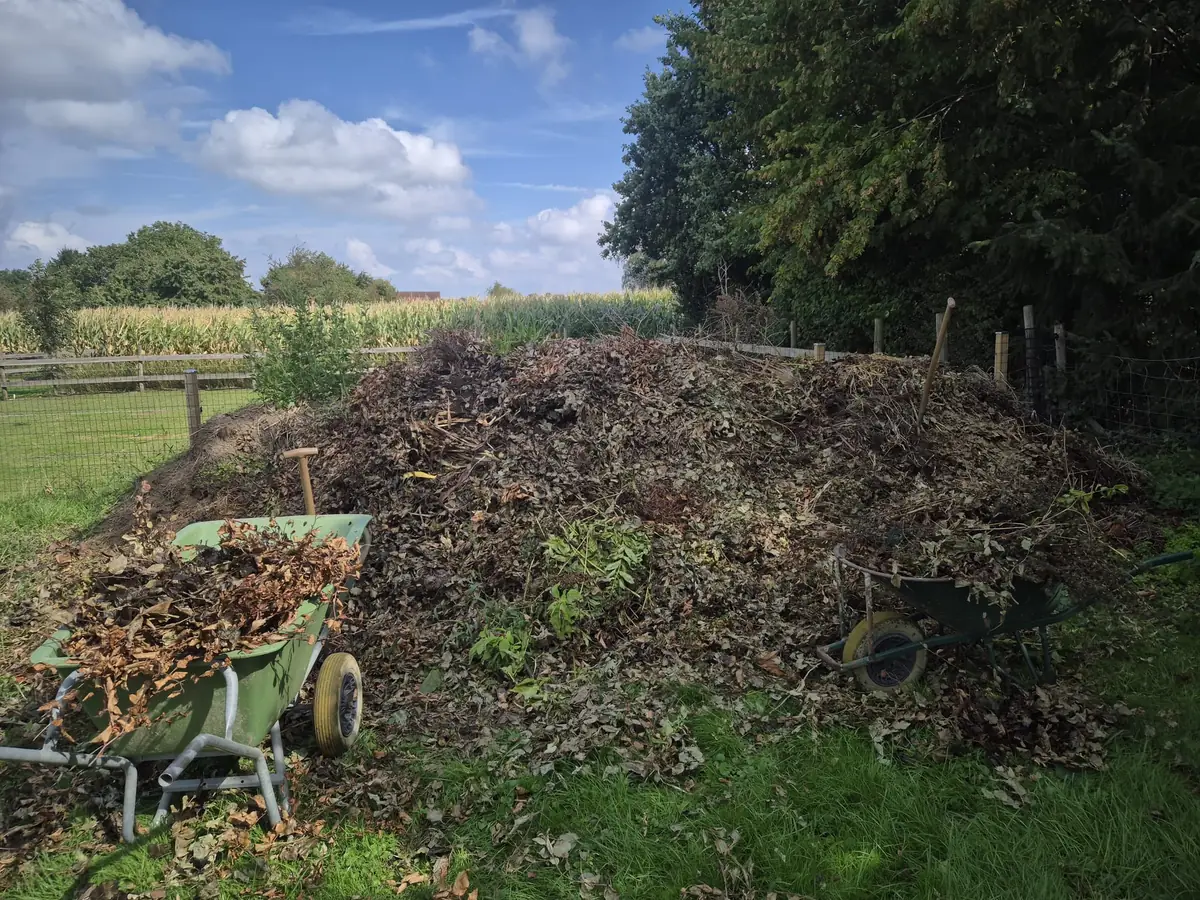 Grote berg groenafval, bladeren en snoeihout in een tuin in Limburg voor de opruiming door JG Services